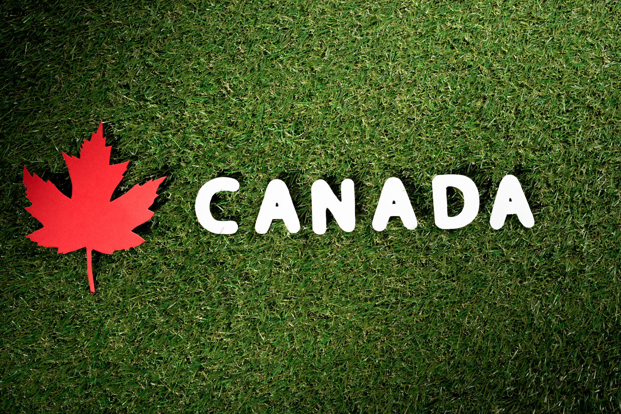 word-canada-with-maple-leaf-on-green-grass-backg-2024-11-17-22-46-47-utc